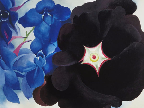 Black Hollyhock Blue Larkspur - Large Art Prints