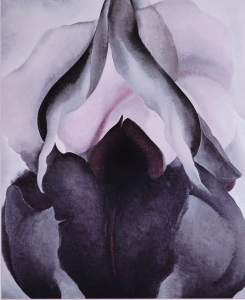 Black Iris - Large Art Prints