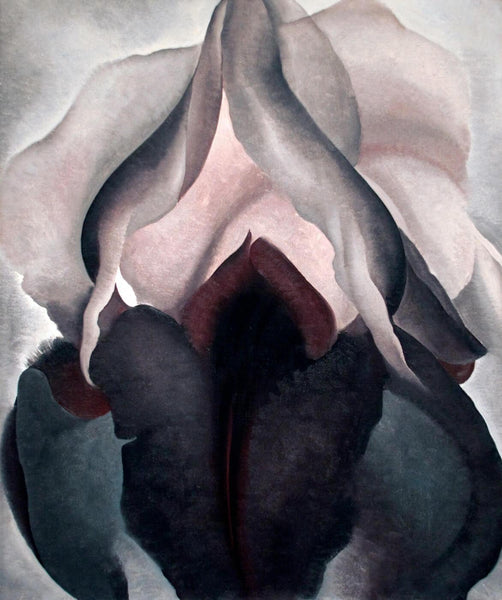 Black Iris - O’Keefee - Art Prints