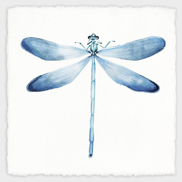 Blue Dragonfly - Nature Painting - Framed Prints