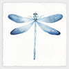 Blue Dragonfly - Nature Painting - Art Prints