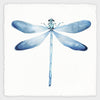 Blue Dragonfly - Nature Painting - Framed Prints