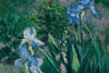 Blue Irises - Garden at Petit Gennevilliers (Iris Bleus) - Gustave Caillebotte - Impressionist Floral Painting - Life Size Posters