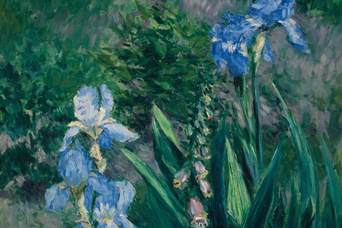Blue Irises - Garden at Petit Gennevilliers (Iris Bleus) - Gustave