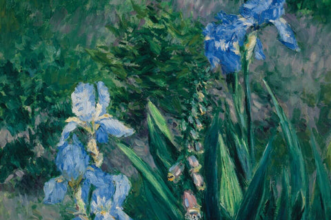 Blue Irises - Garden at Petit Gennevilliers (Iris Bleus) - Gustave Caillebotte - Impressionist Floral Painting by Gustave Caillebotte