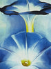 Blue Morning Glories - Canvas Prints