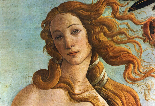 The Birth of Venus - Art Prints