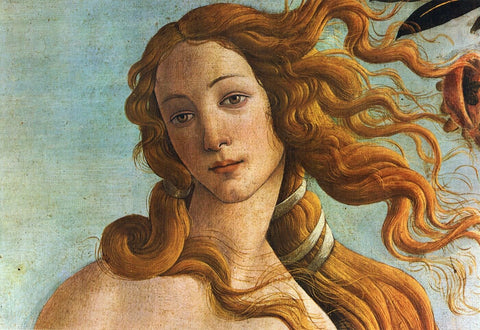 The Birth of Venus - Canvas Prints