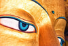 Buddha - Shaakya - Posters