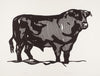 Bull Profile Series, Plate I – Roy Lichtenstein – Pop Art Painting - Canvas Prints