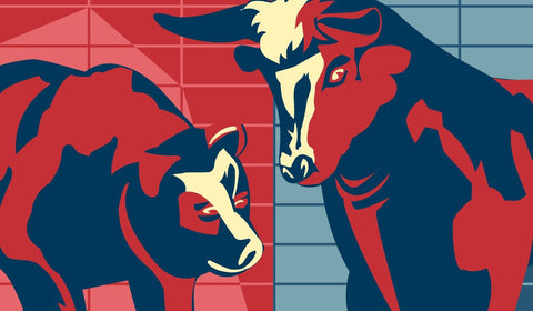Bull Vs Bear- Graphic Art Inspired By The Stock Market - Large Art Prints by Christopher Noel