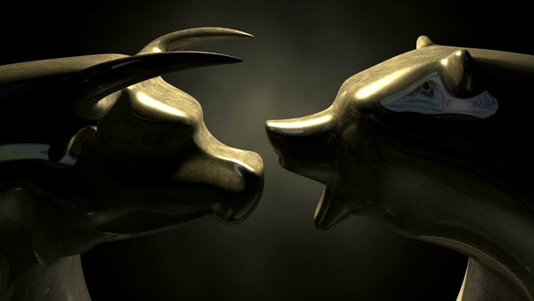 Bull Vs Bear Face Off- Graphic Art Inspired By The Stock Market - Framed Prints