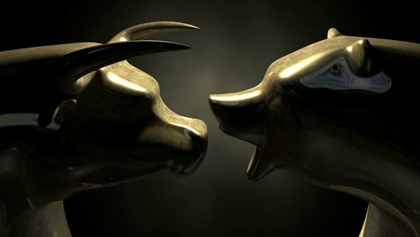 Bull Vs Bear Face Off- Graphic Art Inspired By The Stock Market - Life Size Posters