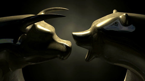 Bull Vs Bear Face Off- Graphic Art Inspired By The Stock Market - Canvas Prints