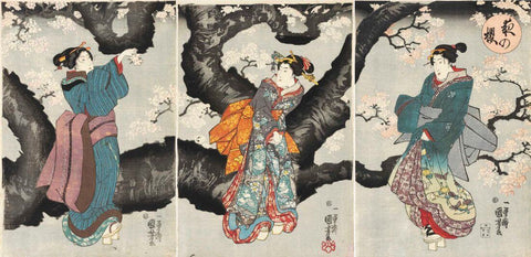 Cherry Blossoms at Night (Yoru no sakura) - Japanese Woodblock Print - Utagawa Kuniyoshi - Life Size Posters by Utagawa Kuniyoshi