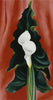 Calla Lilies On Red - 1928 - Georgia O'Keeffe - Framed Prints
