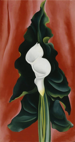 Calla Lilies On Red - 1928 - Georgia OKeeffe - Large Art Prints by Georgia OKeeffe