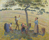 Apple Harvest At Eragny - Framed Prints