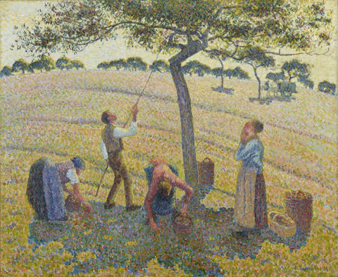 Apple Harvest At Eragny - Large Art Prints by Camille Pissaro