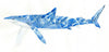 Caribbean Blue Shark - Canvas Prints