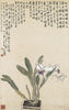 Cattleya Orchids - Xu Beihong - Chinese Art Floral Painting - Canvas Prints