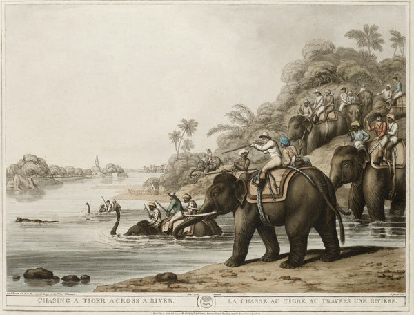 Chasing A Tiger Across the River - Thomas Williamson And Samuel Howwit -  Indian Vintage Orientalist Painting - Large Art Prints