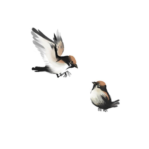 Chickadee Sparrows - Ink Painting - Bird Wildlife Art Print Poster by Sina Irani