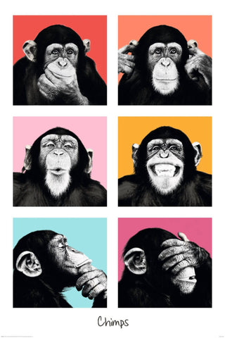 Chimp - Canvas Prints by DK