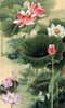 Chinese Gongbi Painting - Nine Lotus - Large Art Prints