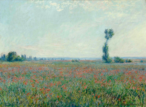 The Poppy Field near Argenteuil (Le champ de coquelicots près d'Argenteuil), 1873 – Claude Monet Painting –  Impressionist Art”. - Canvas Prints