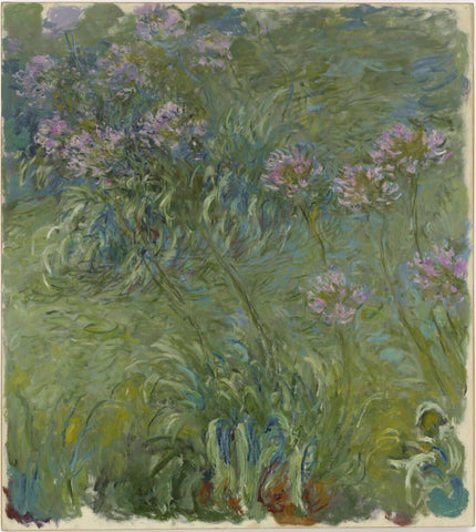 Agapanthus (Agapanthe) – Claude Monet Painting – Impressionist Art”. - Life Size Posters