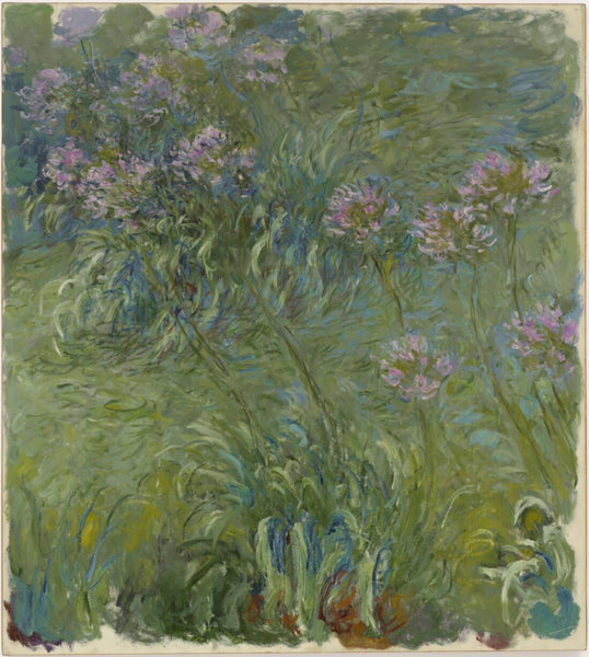 Agapanthus (Agapanthe) – Claude Monet Painting –  Impressionist Art”. - Canvas Prints