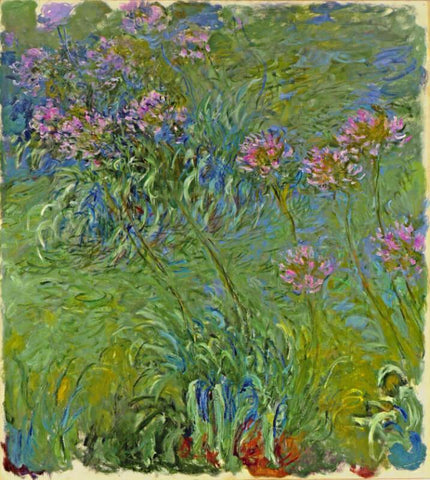 Agapanthus Flower - Large Art Prints by Claude Monet