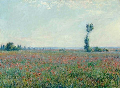 Field with poppies by Claude Monet