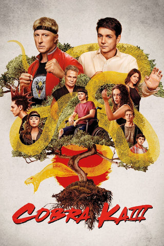 Cobra Kai - The Karate Kid - Netflix TV Show Poster 3 by TV Shows