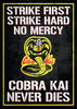 Cobra Kai Motto - Netflix TV Show Poster 2 - Canvas Prints