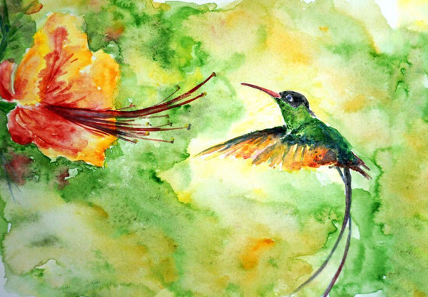 Colibri Hummingbird - Colorful Painting - Bird Wildlife Art Print Poster - Art Prints