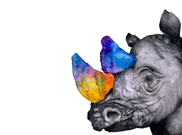 Color on a Rhino - Canvas Prints