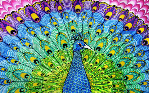 Colorful Peacock Art - Posters