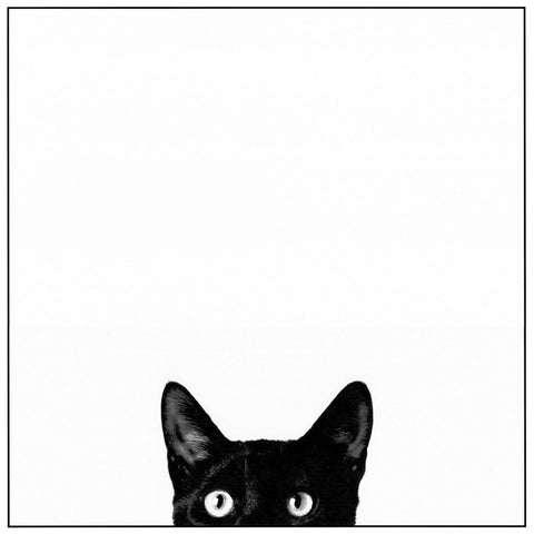 Curiosity Gets The Cat - Canvas Prints by DK