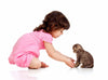 Cute Baby Girl With Her Kitten - Framed Prints