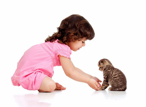 Cute Baby Girl With Her Kitten by Sina