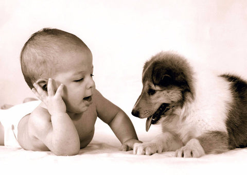 Cute Baby With Puppy - Posters