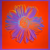 Daisy - Orange - Andy Warhol - Pop Art Painting - Posters