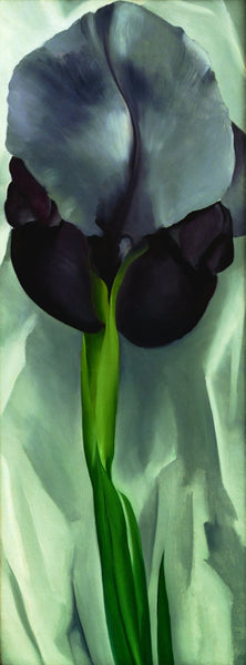 Dark Iris No.1 - Framed Prints