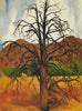 Dead Pinon Tree - Framed Prints