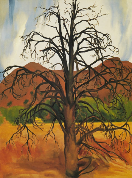 Dead Pinon Tree - Framed Prints