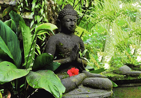 Digital Art - Meditating Buddha With Red Hibiscus - Art Prints