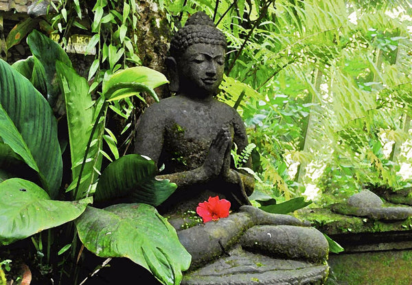 Digital Art - Meditating Buddha With Red Hibiscus - Framed Prints