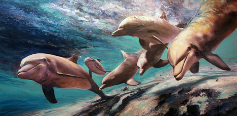 Dolphin Family - Framed Prints by Hamid Raza